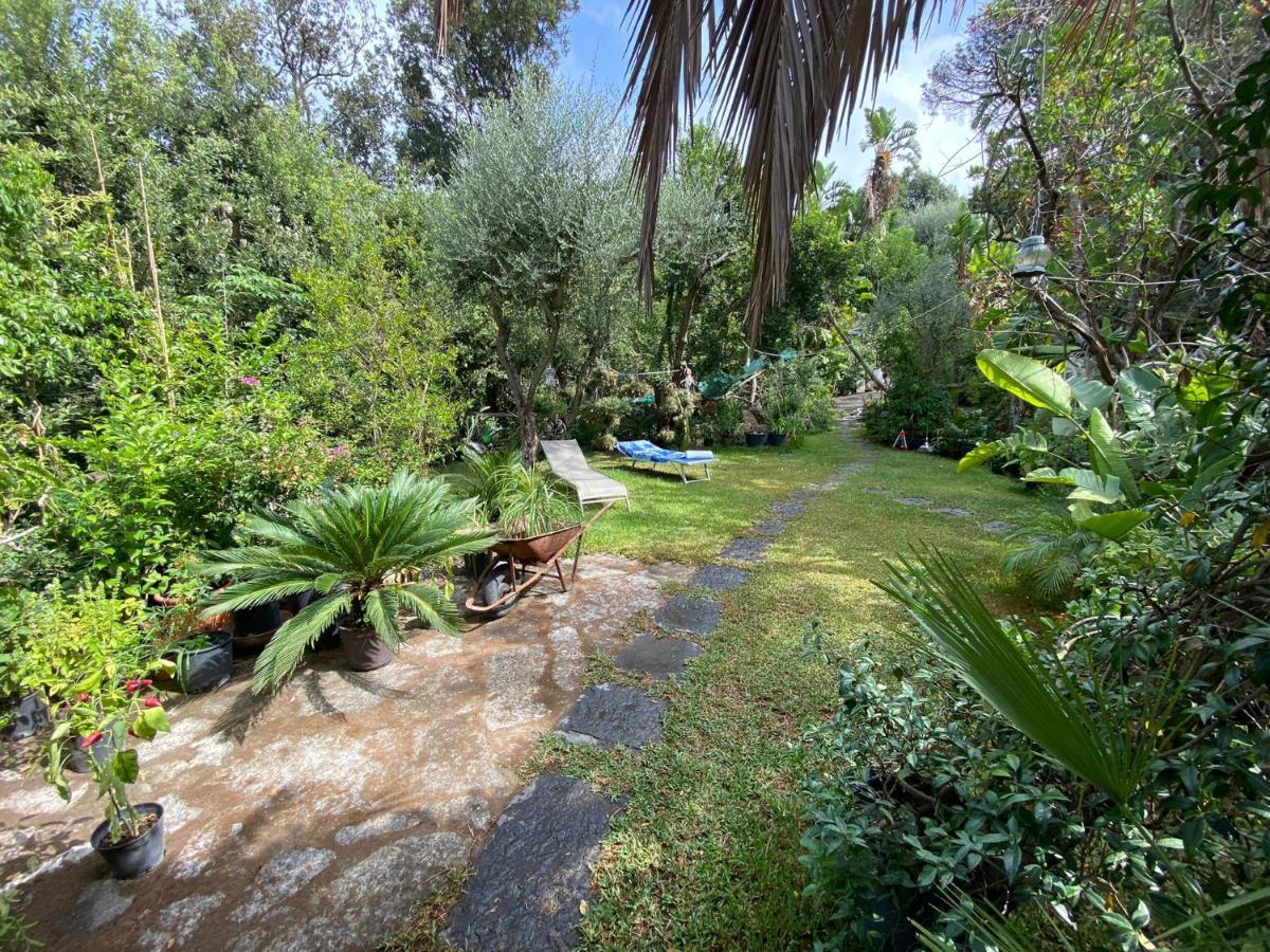 Le Dimore Di Zaro - Green Paradise Forio di Ischia エクステリア 写真