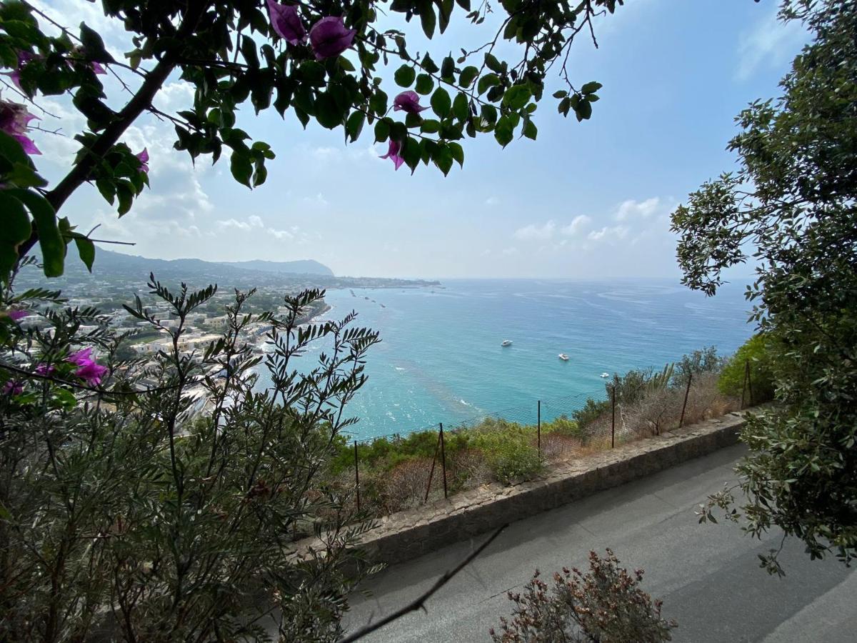 Le Dimore Di Zaro - Green Paradise Forio di Ischia エクステリア 写真