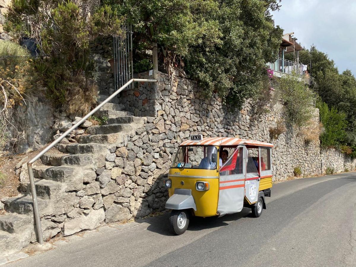 Le Dimore Di Zaro - Green Paradise Forio di Ischia エクステリア 写真