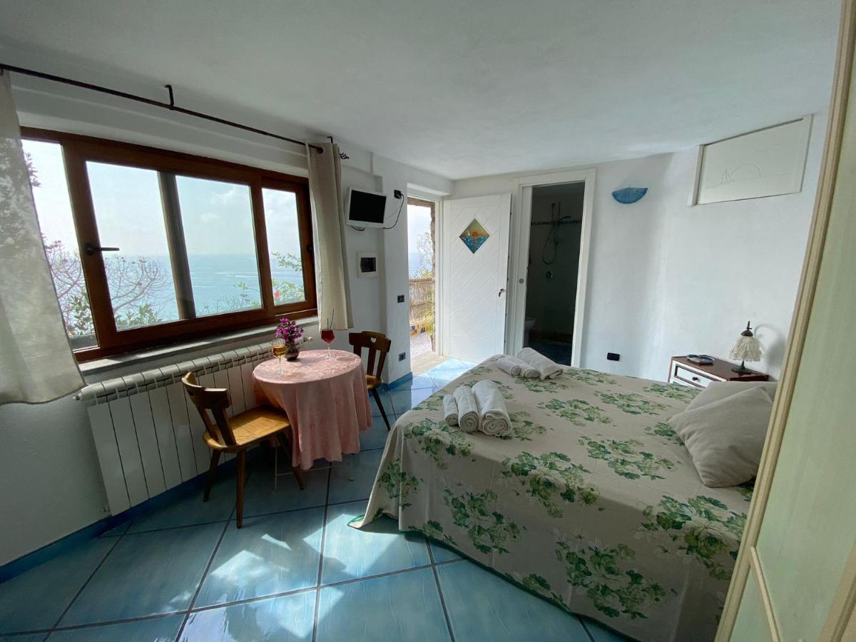 Le Dimore Di Zaro - Green Paradise Forio di Ischia エクステリア 写真