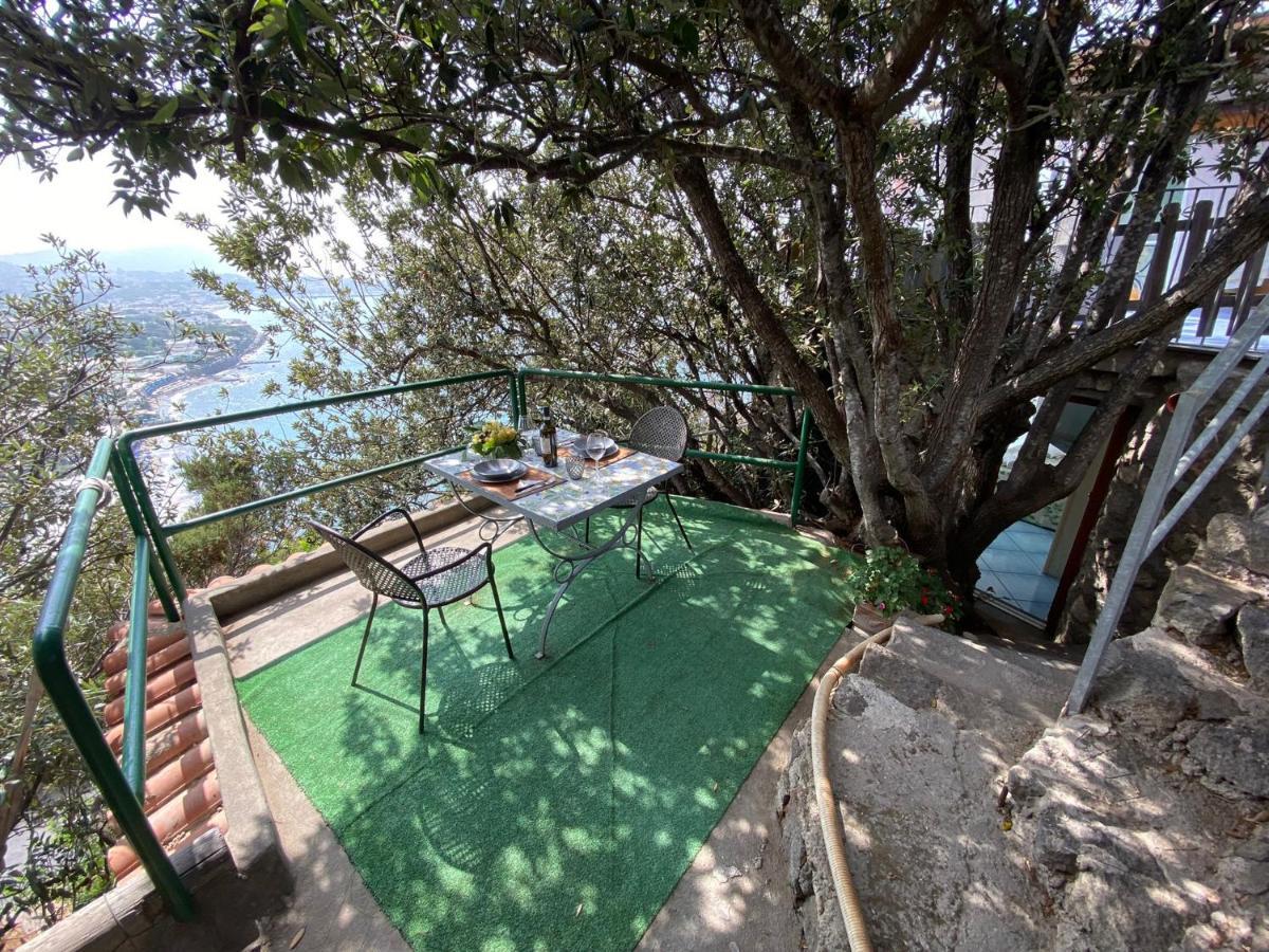 Le Dimore Di Zaro - Green Paradise Forio di Ischia エクステリア 写真