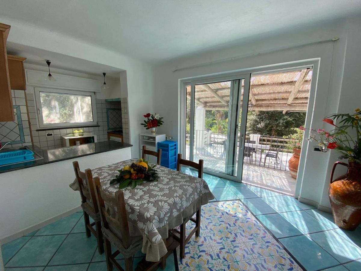 Le Dimore Di Zaro - Green Paradise Forio di Ischia エクステリア 写真