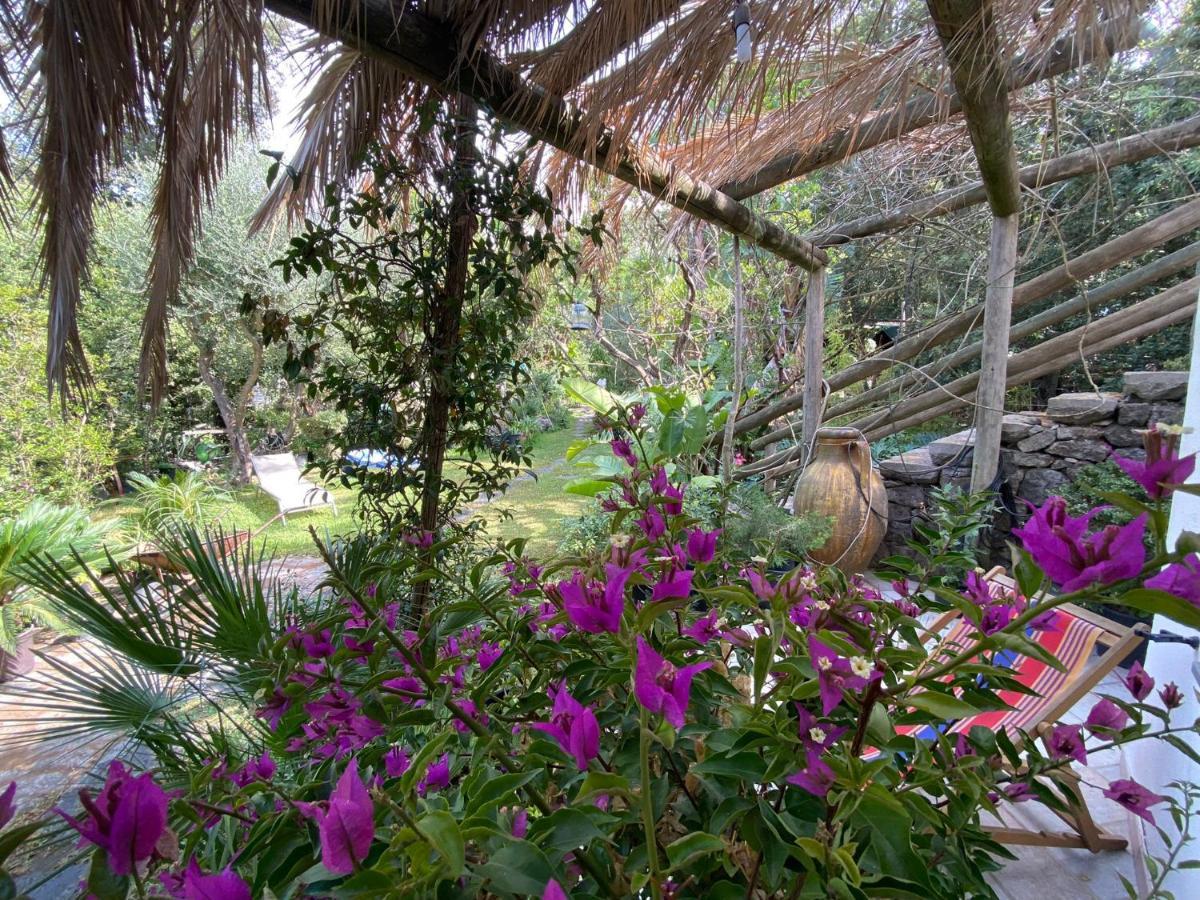 Le Dimore Di Zaro - Green Paradise Forio di Ischia エクステリア 写真