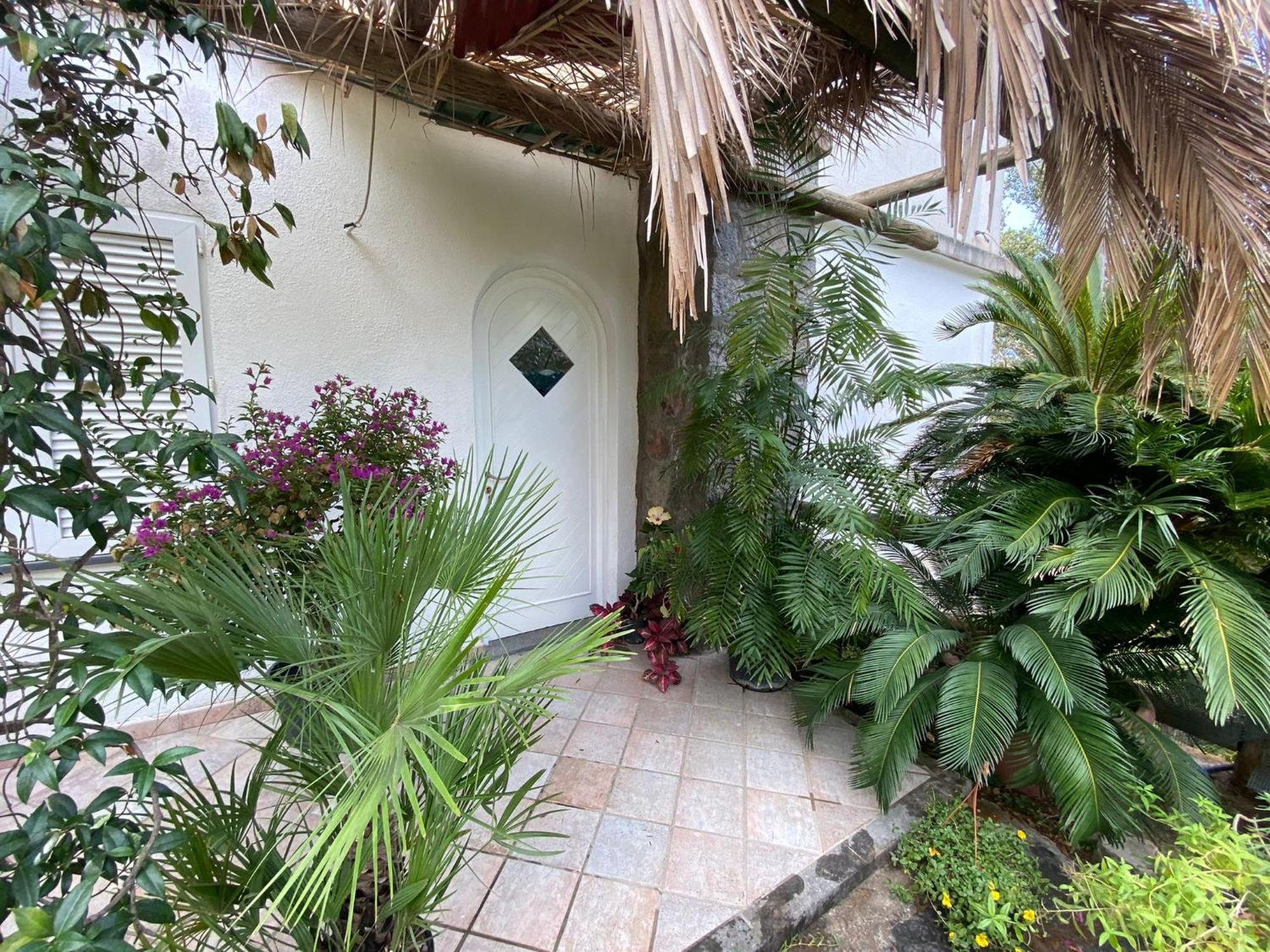Le Dimore Di Zaro - Green Paradise Forio di Ischia 部屋 写真