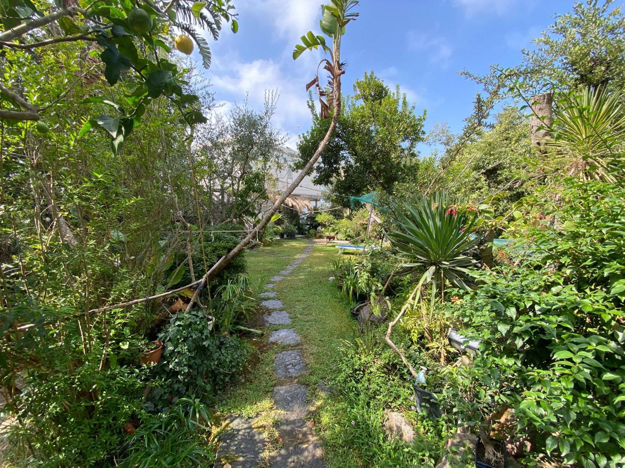 Le Dimore Di Zaro - Green Paradise Forio di Ischia 部屋 写真