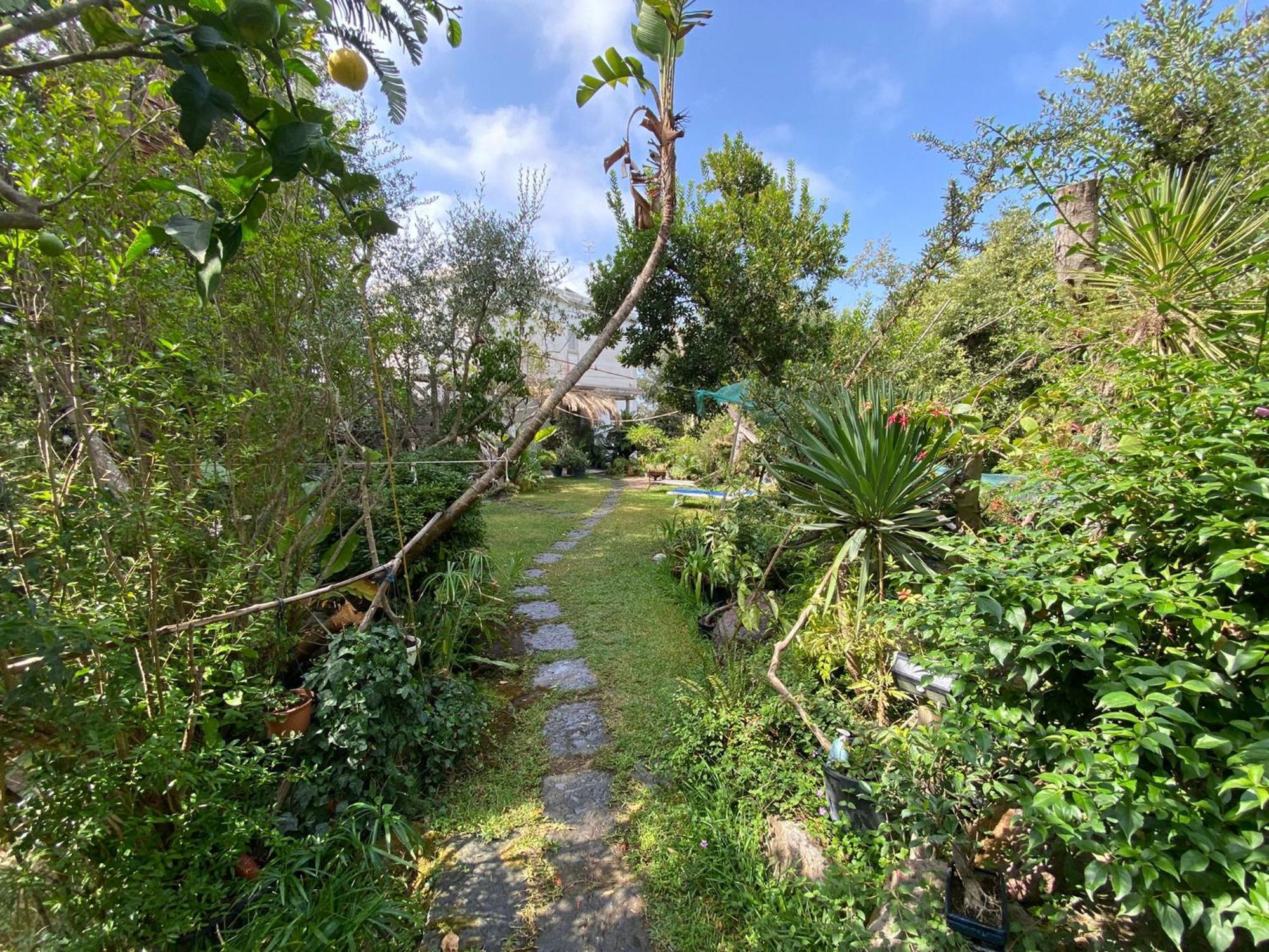 Le Dimore Di Zaro - Green Paradise Forio di Ischia 部屋 写真