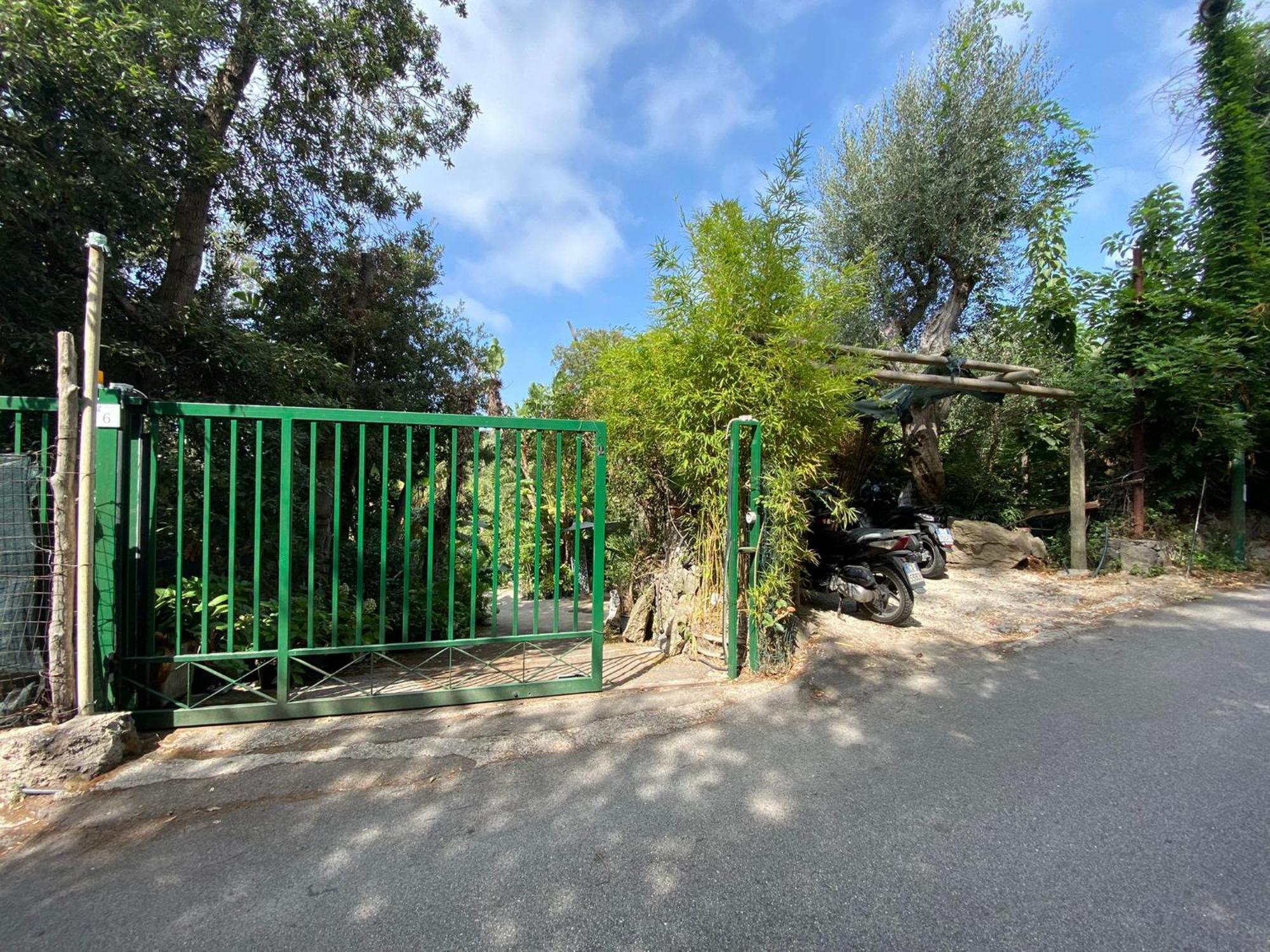 Le Dimore Di Zaro - Green Paradise Forio di Ischia 部屋 写真