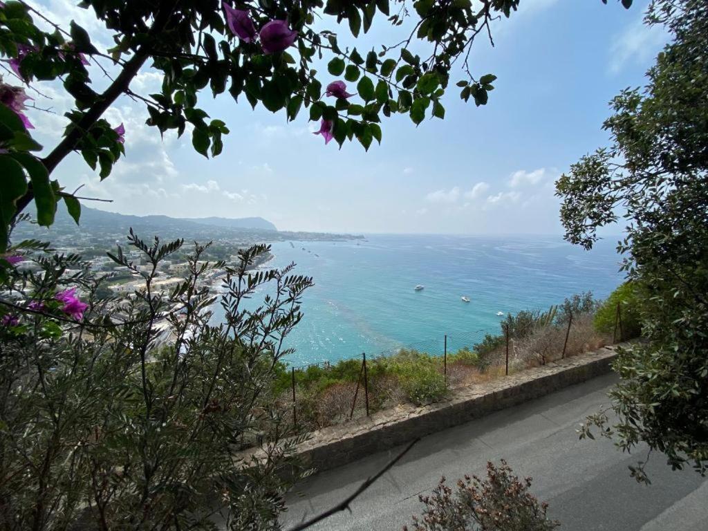 Le Dimore Di Zaro - Green Paradise Forio di Ischia エクステリア 写真
